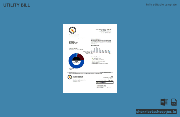 Beispielrechnung der Liberia Electricity Corporation (LEC) – Vorschau